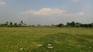 A wide landscape view of an open grassy field with scattered dry leaves under a light blue sky with white clouds.