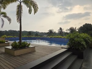A tranquil outdoor scene featuring a swimming pool surrounded by lush greenery. The pool is a vibrant blue, reflecting the sky, and is bordered by a smooth wooden deck.
